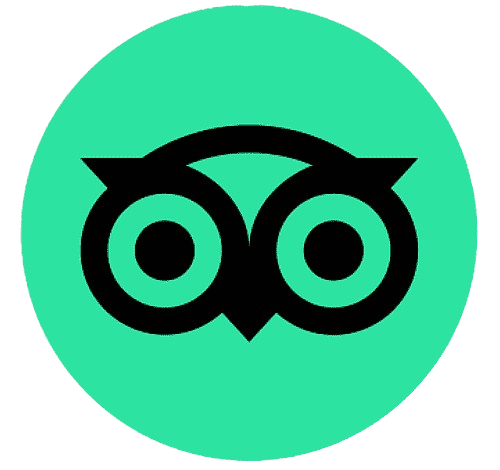 comments tripadvisor